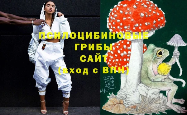 шишки Бронницы