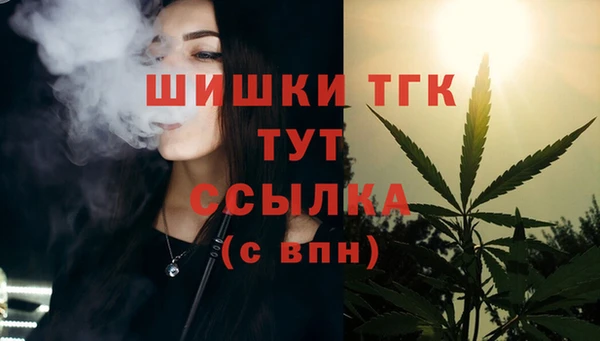 шишки Бронницы