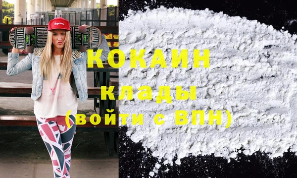 шишки Бронницы