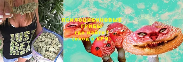 не бодяженный Бородино