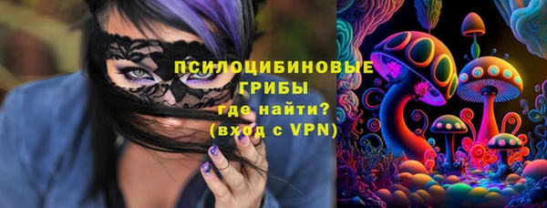 синтетический гашиш Верхний Тагил