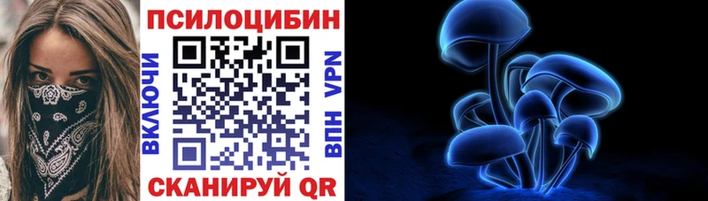 дарнет шоп blacksprut ссылка Псилоцибиновые грибы Cubensis Гулькевичи